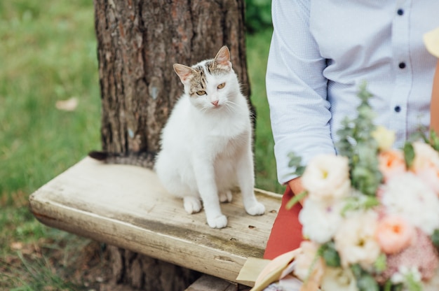 ベンチを歩いて妊娠中の猫の肖像画