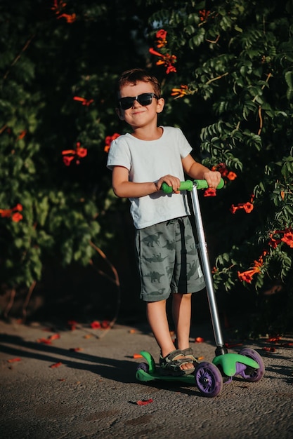 portrait of a preschool boy on a scooter in the summer in the park