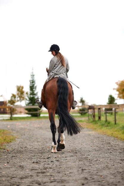 Portrait of a pretty young woman with a brown horse riding autumn day