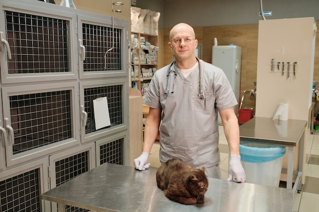 portrait of professional vet in uniform looking at camera while standing near his patient at clinic