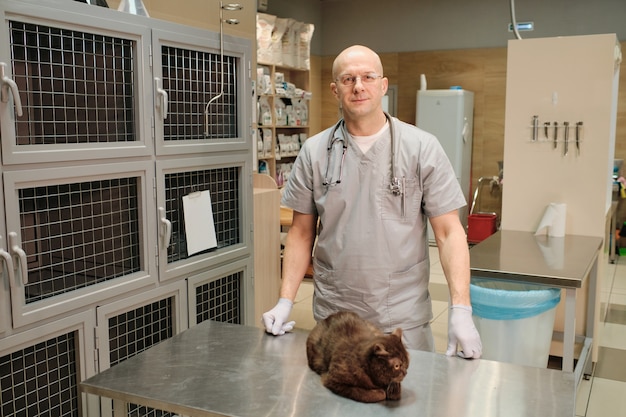 Portrait of professional vet in uniform looking at camera while standing near his patient at clinic