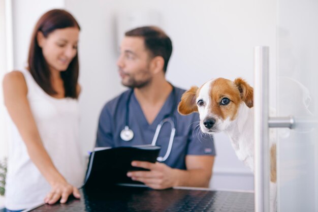 Photo portrait of puppy with veterinarian and pet owner in background