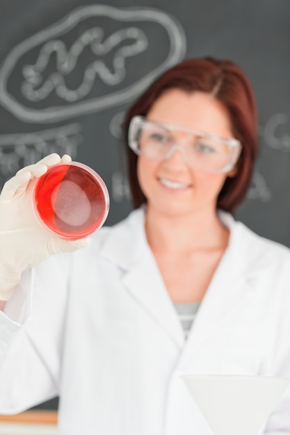 Portrait of a red-haired scientist looking at a petri dish