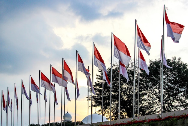 Portrait of red and white flag or indonesian flag