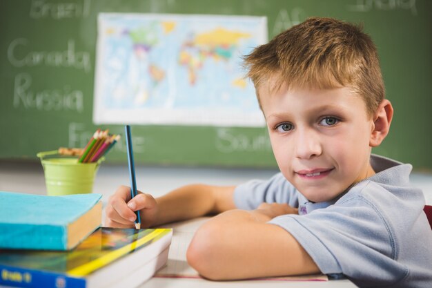 Portrait of schoolboy doing homework in classroom