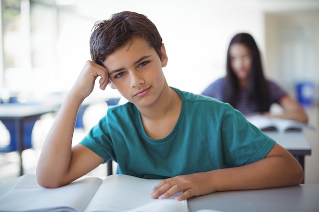 Portrait of schoolboy studying in classroom