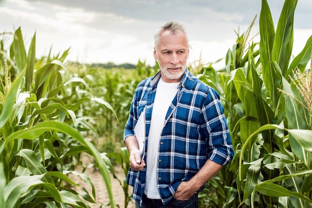 portrait of an senior agronomist standing in a corn field holding documents.