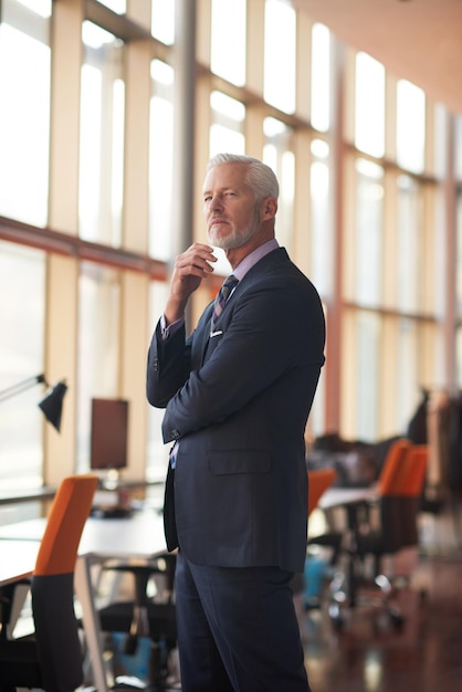 portrait of senior business man with grey beard and hair alone i modern office indoors