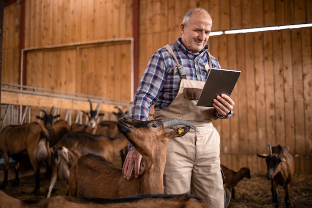 Photo portrait of senior cattleman looking at tablet computer and cuddling domestic animals in farmhouse