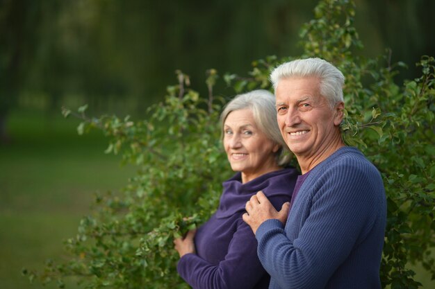 Portrait of a senior couple in autumn park