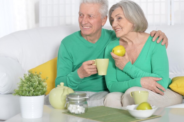 お茶を飲む年配のカップルの肖像画