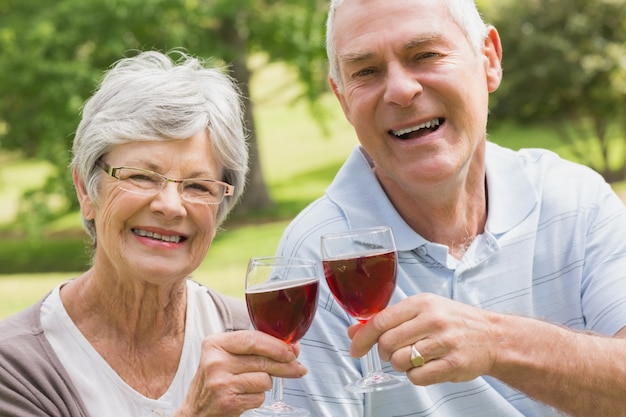 Ritratto delle coppie senior che tostano i vetri di vino al parco