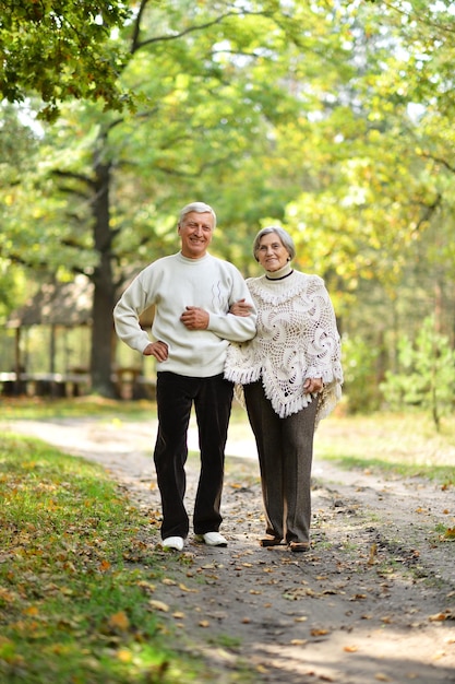 Portrait of senior couple walking in autumn forest