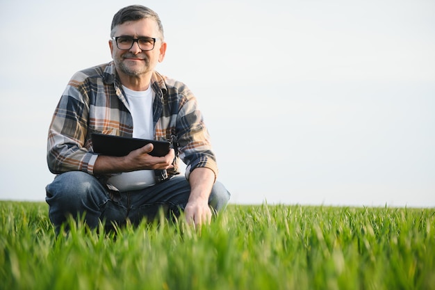 Foto ritratto di agronomo contadino senior nel campo di grano produzione e coltivazione di alimenti biologici di successo