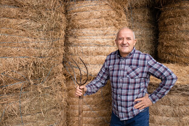 Portrait of senior farmer holding pitchfork and standing by hay at the farm taking food for domestic animals.