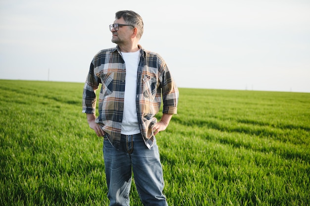 Portrait of senior farmer standing in green wheat field