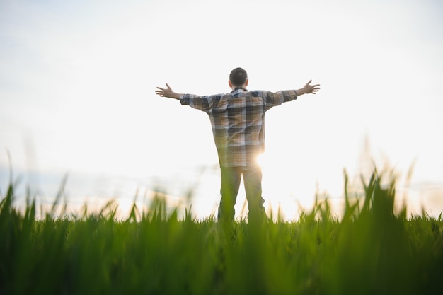 Portrait of senior farmer standing in green wheat field