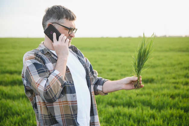 Portrait of senior farmer standing in green wheat field