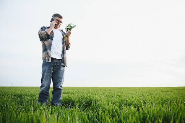 Portrait of senior farmer standing in green wheat field