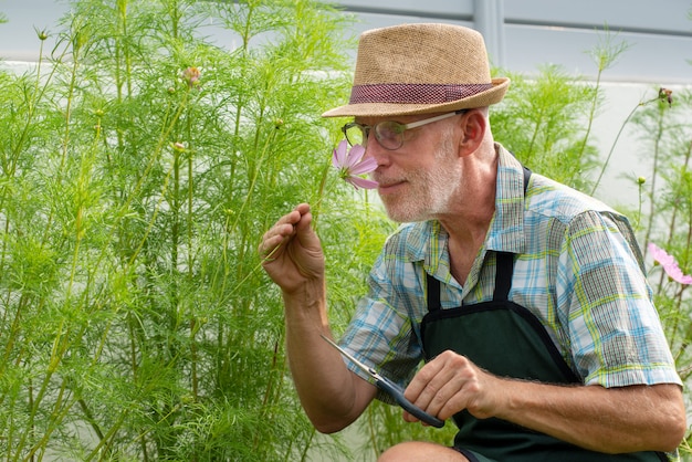 Portrait of senior man gardening