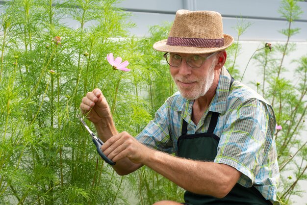 Portrait of senior man gardening