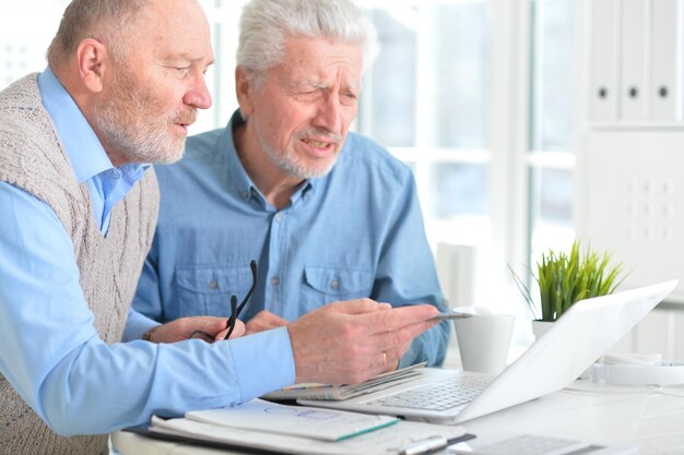 Portrait of senior men working on laptop