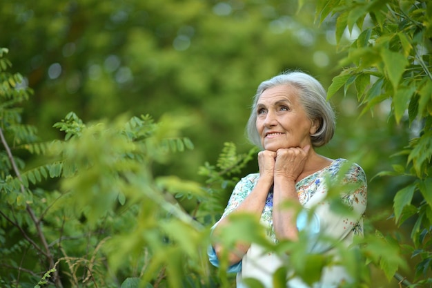 夏の公園で年配の女性の肖像画