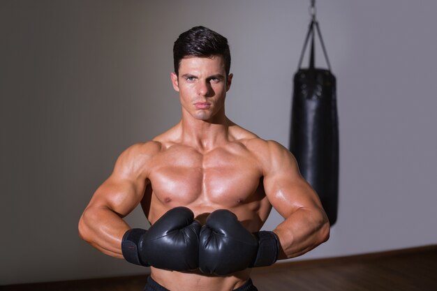 Portrait of a shirtless muscular boxer