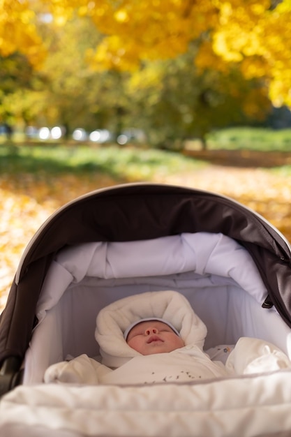 Portrait of sleeping caucasian baby in autumn park