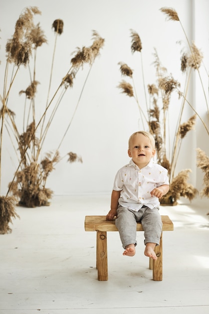 A portrait of a small cheerful boy on a white background with reeds