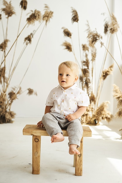 A portrait of a small cheerful boy on a white background with reeds