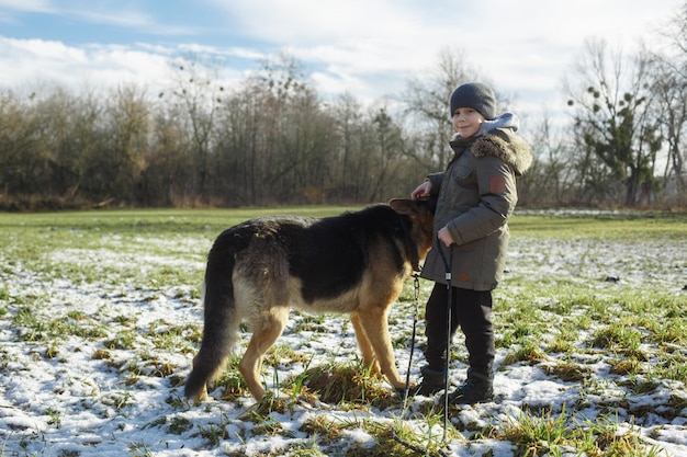 Портрет улыбающегося мальчика, гуляющего с большой собакой породы немецкая овчарка на поле.