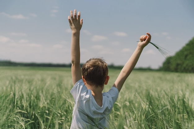 Portrait of a smiling boy in a white Tshirt and playing in a green barley field Happy child boy laughing and playing in the summer day Kid exploring nature Back view