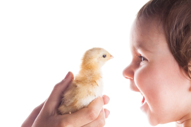 Portrait of a smiling child who is happy seeing little chickens. Close-up