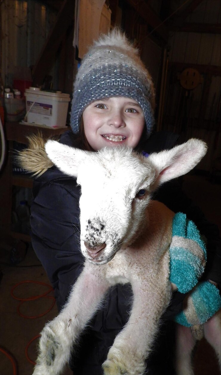 फोटो portrait of smiling girl with goat kid