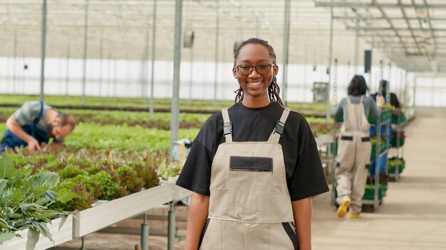 Portrait of smiling woman in modern greenhouse with workers\
taking care of plants and pushing crates with harvested crop.\
african american agricultural worker posing happy in organic\
vegetables farm.