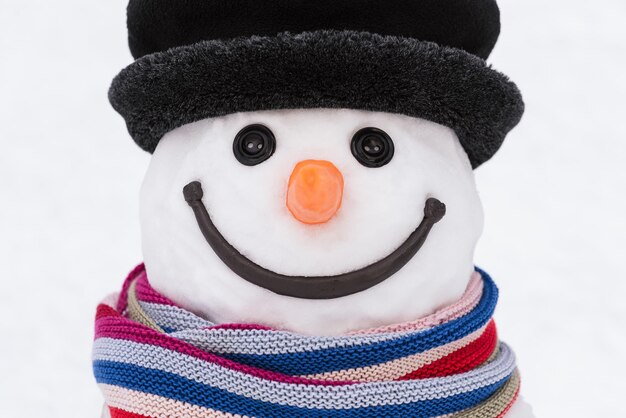 Portrait of a snowman in a hat