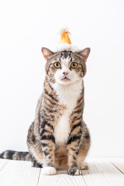 白い背景のタビー猫の肖像画