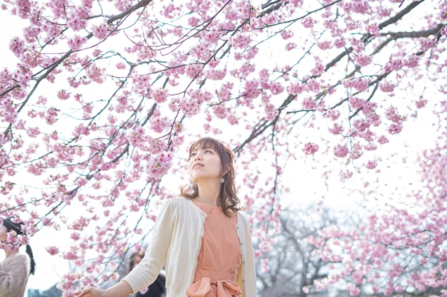 portrait taken under a cherry tree in full bloom