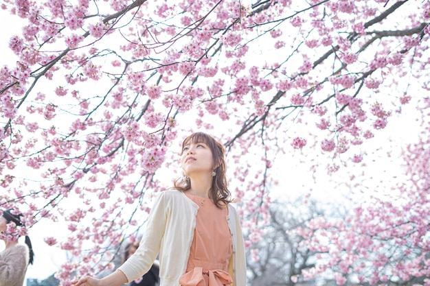 満開の桜の下で撮影された肖像画