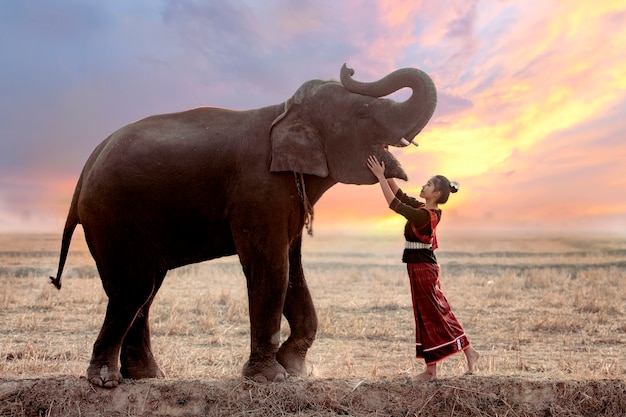 伝統的な民族衣装のタイの少女の肖像画田んぼで象と遊んで。