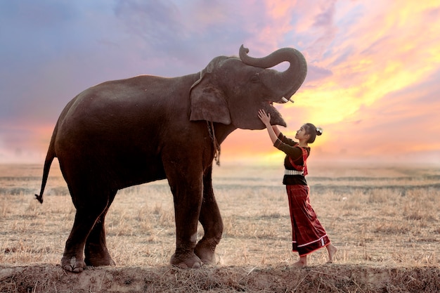 Ritratto di ragazza thailandese in costumi folkloristici tradizionali giocando con gli elefanti nelle risaie.