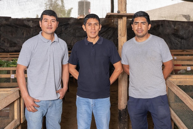 Portrait of three farmers in a guinea pig farm