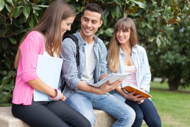 Portrait of three friends talking in a park