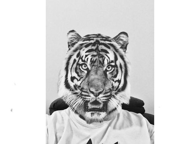 portrait of tiger