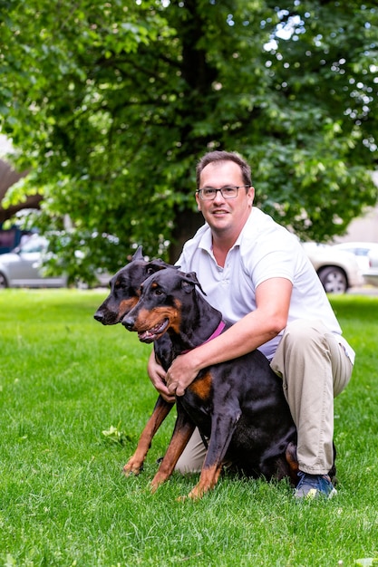 Photo portrait of two black dobermans. man walks in the park two pureblood dobermanns