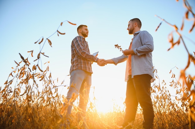 Portrait of two farmers in a field examining soy crop