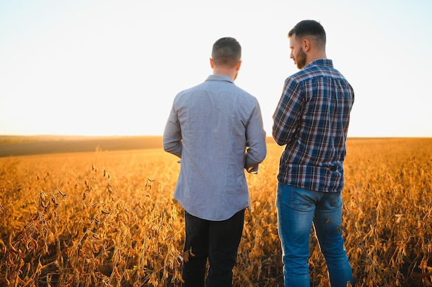 Portrait of two farmers in a field examining soy crop