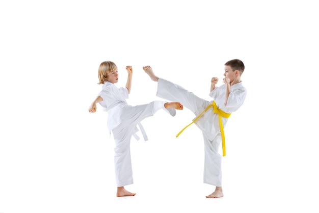 Portrait of two little boys karate taekwondo athletes training isolated over white studio background