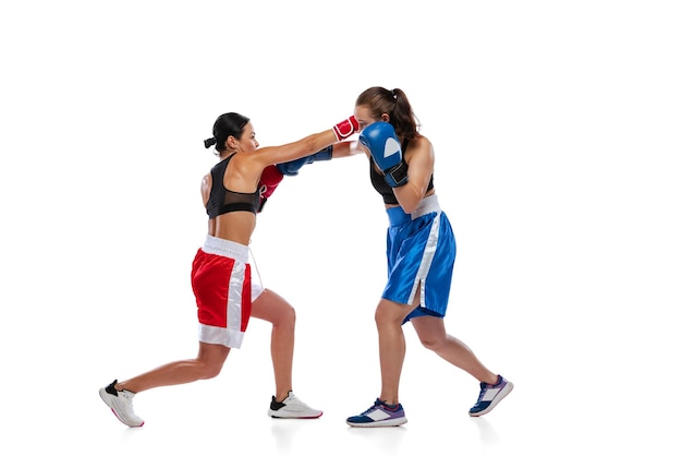 Portrait of two sportive women professional boxers training isolated over white studio background